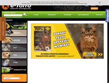 Tablet Screenshot of e-torro.pl